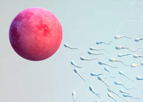 Infertility in Men Causes Treatments CREATE Fertility